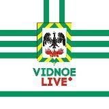 Видное Город