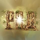 РОД | Сила РОДа