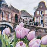 𝐿𝑒𝑦𝑙𝑎𝑦𝑖𝑚💜