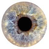 90 писем к себе