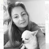 Питомник Чихуахуа❤️