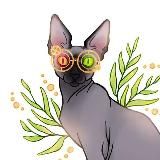 Канал имени Няшечки