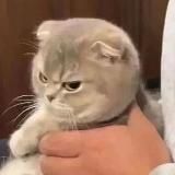 Tex44 Krasotki_vika VegPIU ksrr51 wumen77 Vut57 kzn526 slivmichaelj pdiddyvid mmde89 Fullssobakoy qda79 ananas7070 leg513 vev36