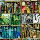 Библиотека книжной феи