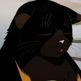 🐈🐾𝙲𝚊𝚝~𝚌𝚊𝚛𝚗𝚒𝚟𝚊𝚕 🐾🐈