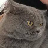 не беги, мышка