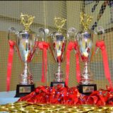 Mos_kyokushin