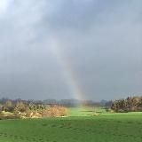 Codes of Joy🧚🏽♀️🌈🌷Herzensfreude