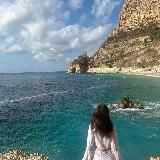 лиса хайвекс