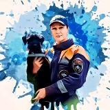 Катерина и Вольт - записки кинолога 🐶