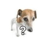 джони пирсинг