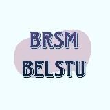 БРСМ БГТУ | Минск