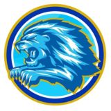 ФК «Зенит» | Fans FC Zenit