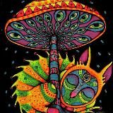 Мухоморный Путь