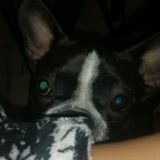 ✨💗 𝙰𝚐𝚊𝚝𝚊 💗✨ <3🎀🥷