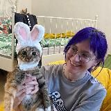 Майопика и котики ~ myopika