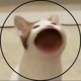 Муж и Жен Юмор 🛎⬇️💫