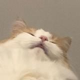 обитель душнилы | эмма рид джонсон