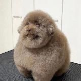 Е*учий. (Kazeno/Crypto)