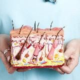 Дерматология, венерология, косметология