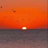 Рассветы и закаты ✨ Sunrise Sunset✨