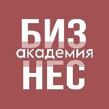 Бизнес академия