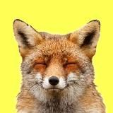 Несекретные Секреты