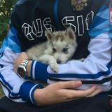 ɴᴏᴠᴀʏᴀ.sᴜʏᴇᴛᴀ | Музыка 2021 Сохры Цитаты