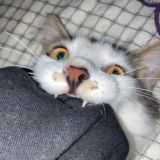 Выплат не будет!