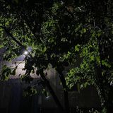 вечный бунт моих мыслей.