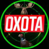 ОХОТА, амуниция, снаряжение - Сахалин