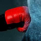 🎯TEAM STRIKE 💰🥊