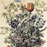 Оркестр Pratum Integrum