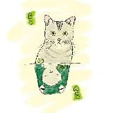 biokoci | #УкрТґ