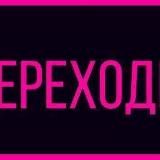 Котята архив