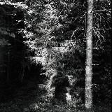 IvanBelsky_filmphoto