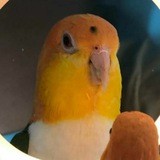 Картиночки с текстом