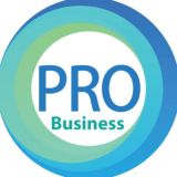 PRO Бизнес