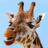 MPB.TOP News 💸 | WB & Ozon