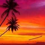 Афиша Пхукета 💃🕺