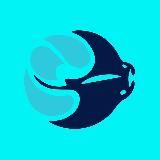 JOY TRAVEL I ТУРЫ