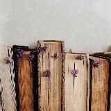 BookPay (книжные закупки)