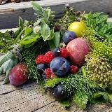 Herbalism and Natural Cures
