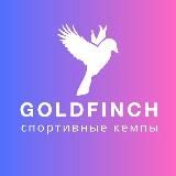 GOLDFINCH.Camp - анонсы новых кемпов клуба
