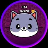 Catcasino 🐱