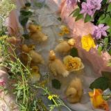 саншайнята✨чатик