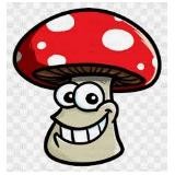ЧЕРНУХА 🍄