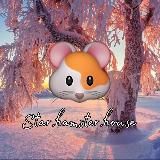 🌷 Star.hamster.house 🌱