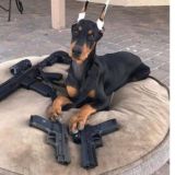 ❤🟠ТВОЯ__МУЗЫКА 🟠❤