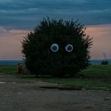 От края до края